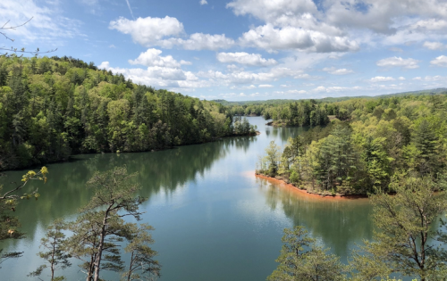 A serene lake surrounded by lush green trees under a bright blue sky with fluffy clouds.