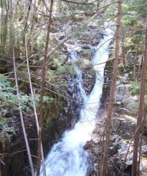 A cascading waterfall flows through a rocky landscape, surrounded by lush green trees and foliage.