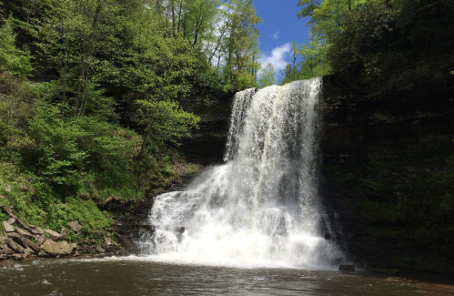 A cascading waterfall surrounded by lush green trees under a bright blue sky.