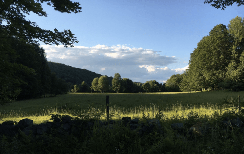 A serene landscape featuring a grassy field surrounded by trees under a blue sky with fluffy clouds.