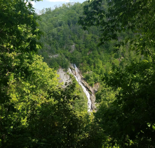 A waterfall cascades down rocky cliffs, surrounded by lush green trees and a vibrant forest landscape.
