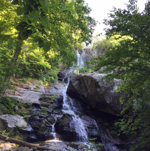 A serene waterfall cascading over rocks, surrounded by lush green trees and foliage.