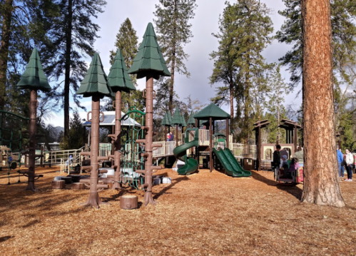 A playground with green slides and tree-shaped structures, surrounded by tall trees and wood chips. Families are enjoying the space.