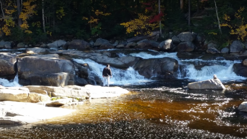 A person stands on rocks by a flowing river, surrounded by trees with autumn foliage.