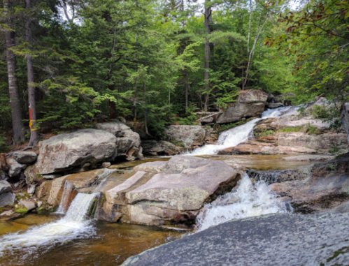 A serene forest scene featuring a cascading waterfall over rocky terrain, surrounded by lush green trees.