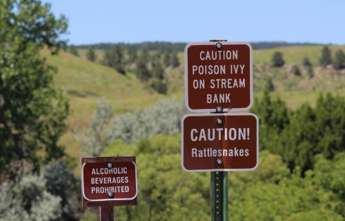 Two warning signs: one for poison ivy on a stream bank and another cautioning about rattlesnakes, set against a green landscape.