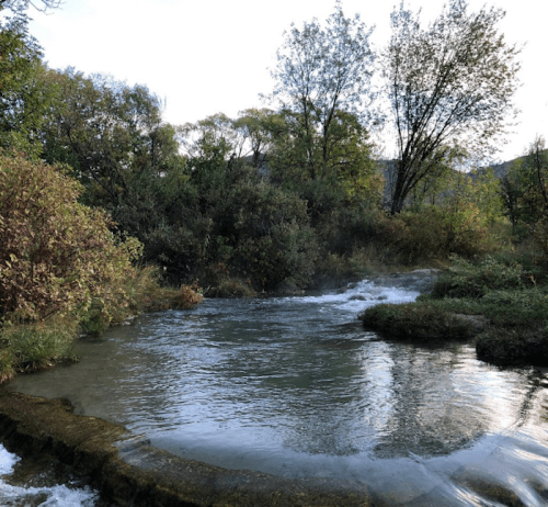 A serene river flows through lush greenery, with trees and plants lining the banks under a clear sky.