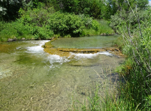 A serene stream flows through lush greenery, with clear water and gentle ripples over rocky formations.