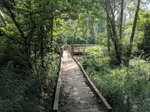A wooden boardwalk leads through lush greenery to a small observation deck in a serene forest setting.