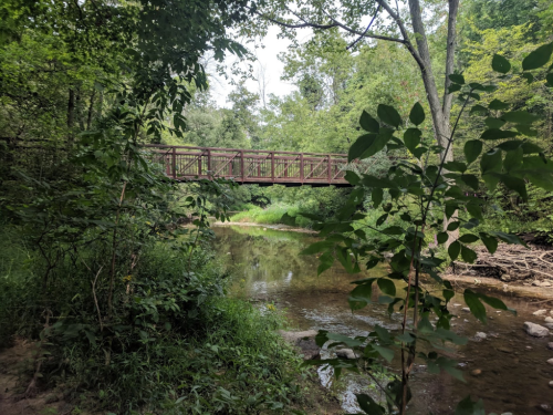 A wooden bridge spans a serene creek, surrounded by lush greenery and trees.