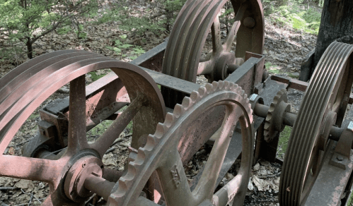Close-up of rusty machinery wheels and gears, surrounded by forest foliage and fallen leaves.