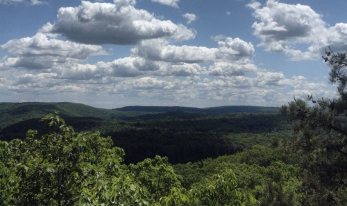 A scenic view of lush green hills under a partly cloudy sky, with vibrant foliage in the foreground.