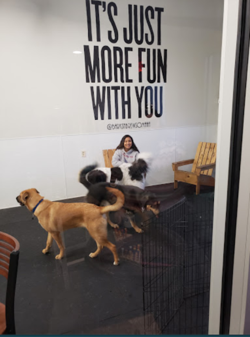 A woman sits in a dog play area with three dogs, surrounded by a wall that says, "It's just more fun with you."