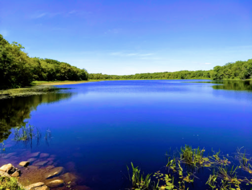A serene lake surrounded by lush greenery under a clear blue sky, reflecting vibrant colors on the water's surface.