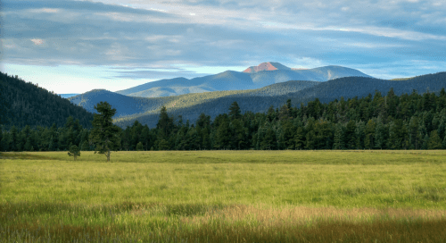 A serene landscape featuring a grassy meadow, dense forests, and distant mountains under a partly cloudy sky.