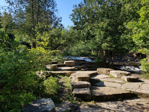 A serene natural scene featuring a rocky path beside a flowing stream, surrounded by lush greenery and trees.