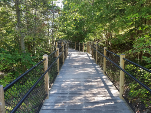 A wooden walkway surrounded by lush green trees, with railings on either side, leading into a serene forest.
