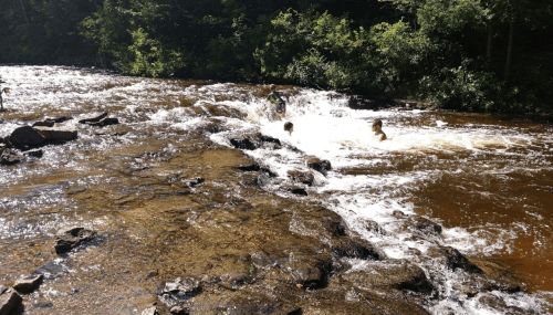 Two people play in a rushing river, surrounded by rocks and lush greenery on a sunny day.
