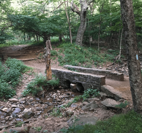 A stone bridge over a small stream in a lush, green forested area with trees and rocky terrain.