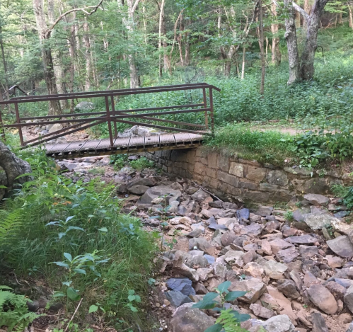 A wooden bridge spans a rocky creek in a lush green forest, surrounded by trees and foliage.
