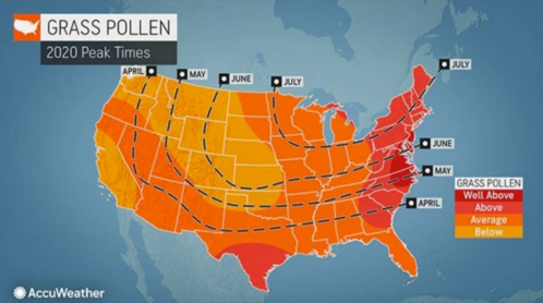 Map of the U.S. showing grass pollen peak times in 2020, with varying levels indicated by color gradients.