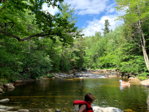 A child in a red life jacket gazes at a serene river surrounded by lush green trees and rocky banks.