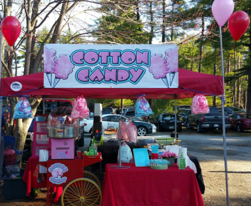 A colorful cotton candy stand with a pink canopy, featuring cotton candy bags and balloons in a park setting.