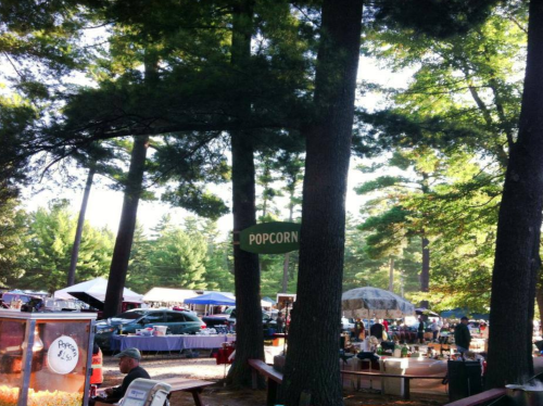 A bustling outdoor market under tall trees, featuring stalls and a popcorn stand amidst a lively atmosphere.
