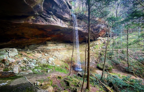 A serene forest scene featuring a waterfall cascading from a rocky overhang into a lush, green landscape below.
