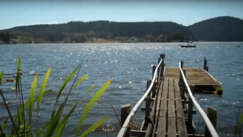 A wooden dock extends into a sparkling lake, surrounded by lush greenery and distant hills under a clear sky.
