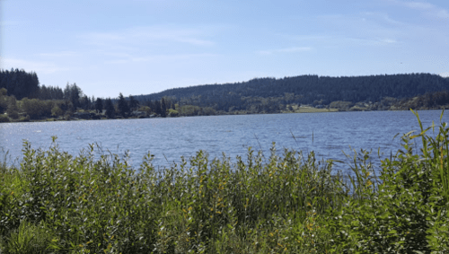 A serene lake surrounded by lush greenery and distant hills under a clear blue sky.