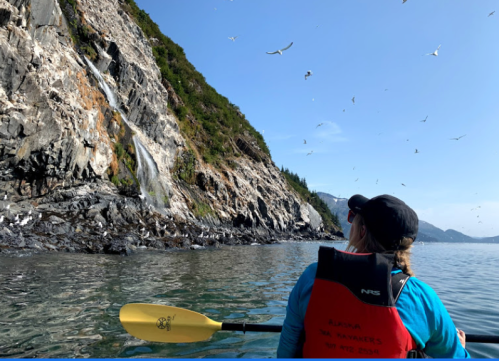 A kayaker gazes at a rocky cliff with a waterfall, surrounded by seagulls in a serene coastal landscape.