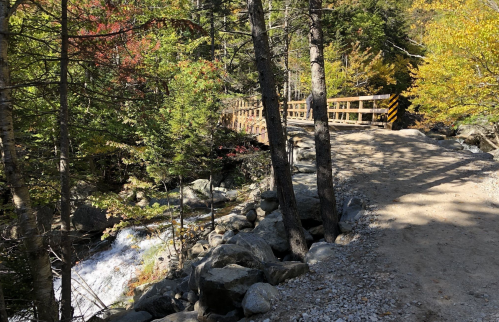 A wooden bridge crosses a stream surrounded by trees with autumn foliage in a serene natural setting.