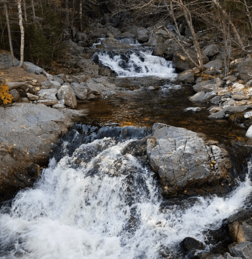 A serene stream flows over rocky terrain, surrounded by trees and autumn foliage.