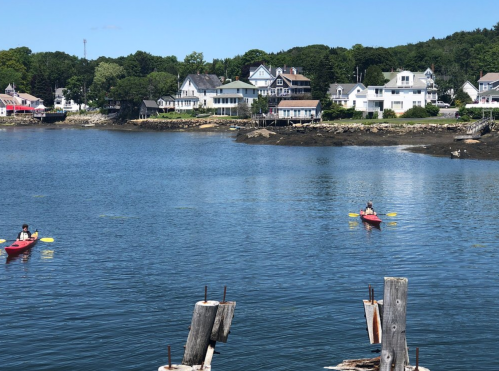 Two kayakers paddle in calm water near a coastal town with houses and greenery in the background.