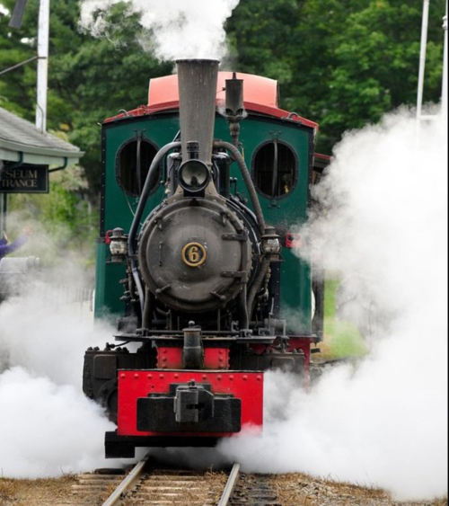 A vintage steam locomotive billows smoke as it approaches on the tracks, surrounded by greenery.
