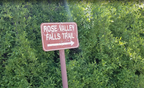 Sign for Rose Valley Falls Trail pointing right, surrounded by lush green foliage.