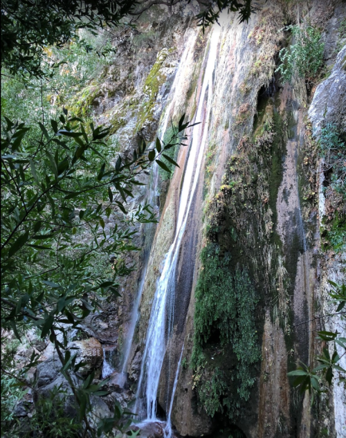 A serene waterfall cascading down a rocky cliff, surrounded by lush greenery and foliage.