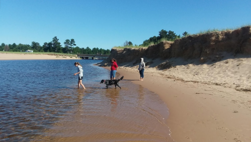 Three people and a dog wade in shallow water along a sandy beach on a sunny day. Trees line the background.