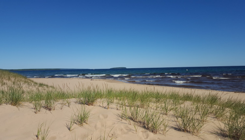 A sandy beach with gentle waves, green grass in the foreground, and a clear blue sky above.