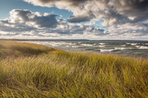 A coastal scene with tall grass in the foreground, waves crashing on the shore, and a cloudy sky above.