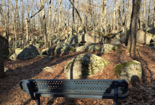 A blue bench in a wooded area surrounded by large rocks and bare trees, with fallen leaves on the ground.