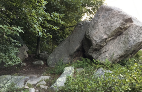 A large boulder sits among greenery and smaller rocks, surrounded by trees in a natural setting.