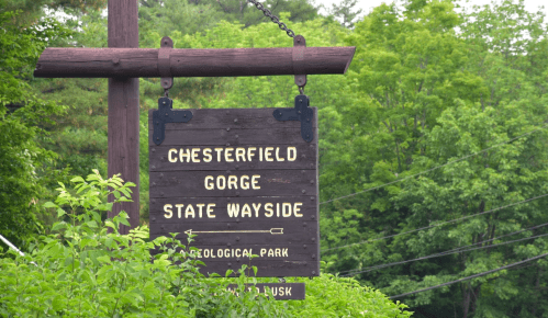 Wooden sign for Chesterfield Gorge State Wayside, surrounded by lush greenery and trees.