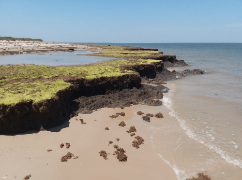 Coastal landscape with rocky shore, green moss, and sandy beach under a clear blue sky.