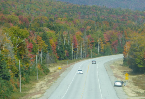 A winding road through vibrant autumn foliage, with cars traveling in both directions.