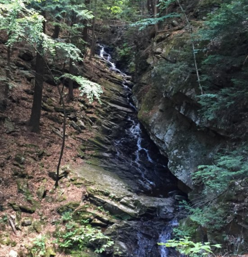 A serene forest scene featuring a small waterfall cascading over rocky terrain surrounded by lush greenery.