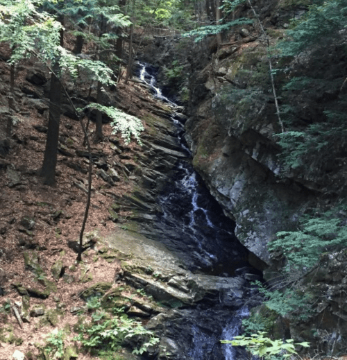 A serene forest scene featuring a small waterfall cascading over rocky terrain surrounded by lush greenery.