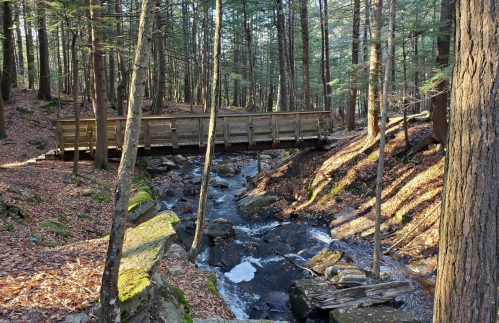 A wooden bridge spans a small stream in a forest, surrounded by trees and fallen leaves in soft sunlight.