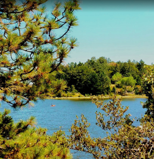 A serene lake scene framed by pine trees, with a lone kayaker paddling in the calm water under a clear blue sky.